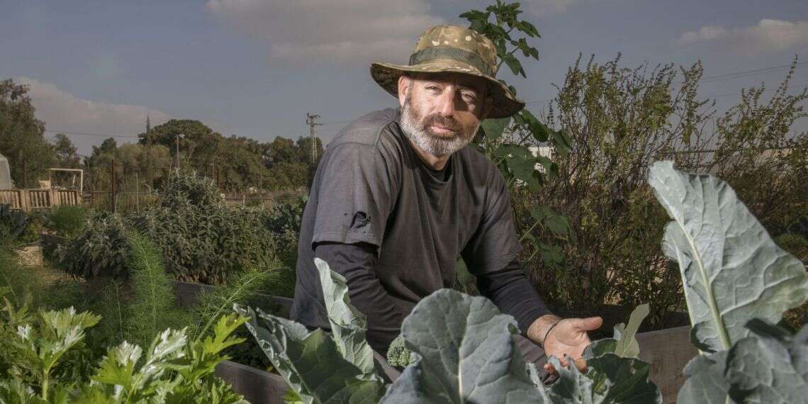 ניקי לוי. צילום: יוסי אלוני צילום: יוסי אלוני