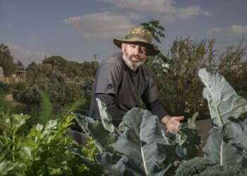 צילום: יוסי אלוני