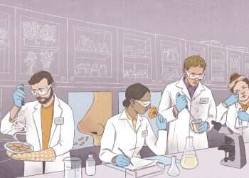 איור: דניאל פלג