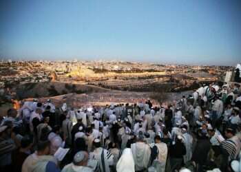 צילום: מרים צחי