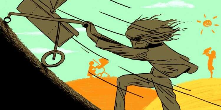 איור: מורן ברק איור: מורן ברק