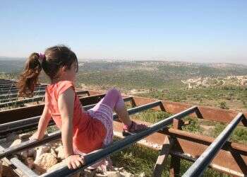 צילום: מרים צחי