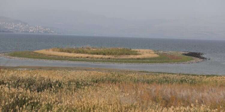 צילום: מירי צחי