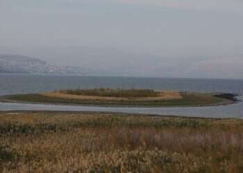 צילום: מרים צחי