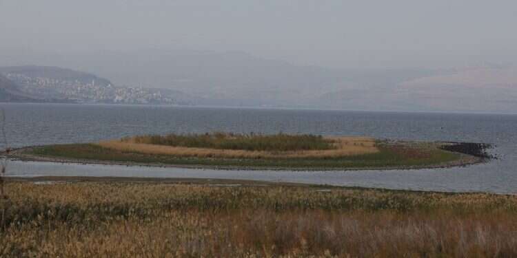 צילום: מרים צחי