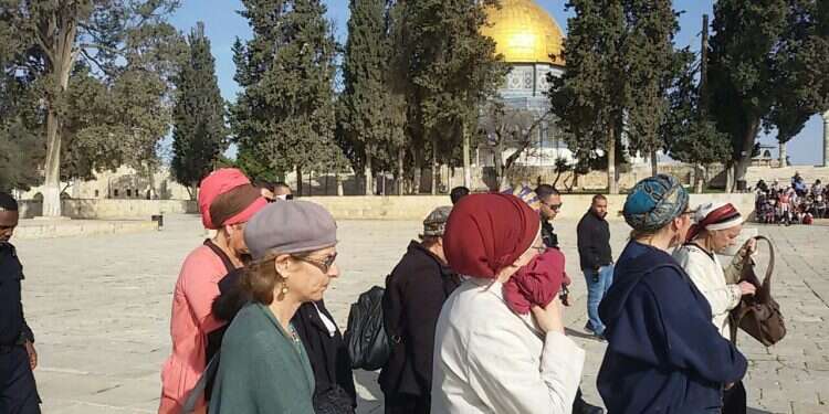 עליית יהודים להר הבית. צילום : ארנון סגל צילום : ארנון סגל