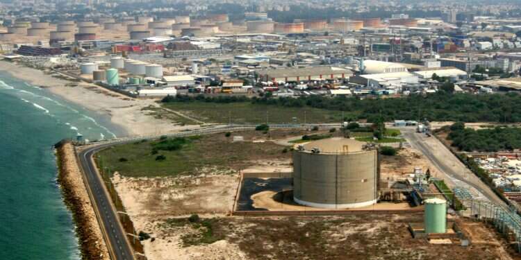 צילום: הרצי שפירא