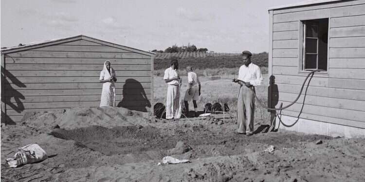 צילום: דוד אלדן, לע"מ