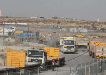 צילום: מרים צחי