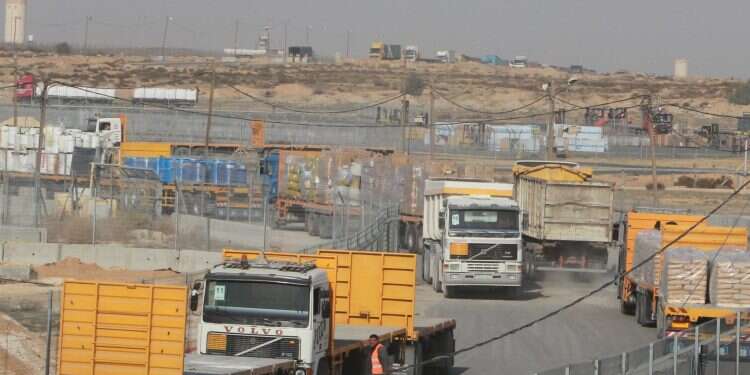 צילום: מרים צחי