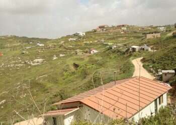 צילום: מרים צחי