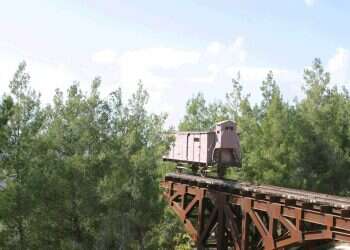 צילום: מרים צחי