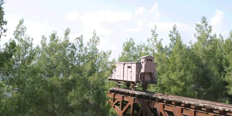 צילום: מרים צחי