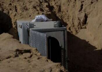 צילום: יהודה פרץ