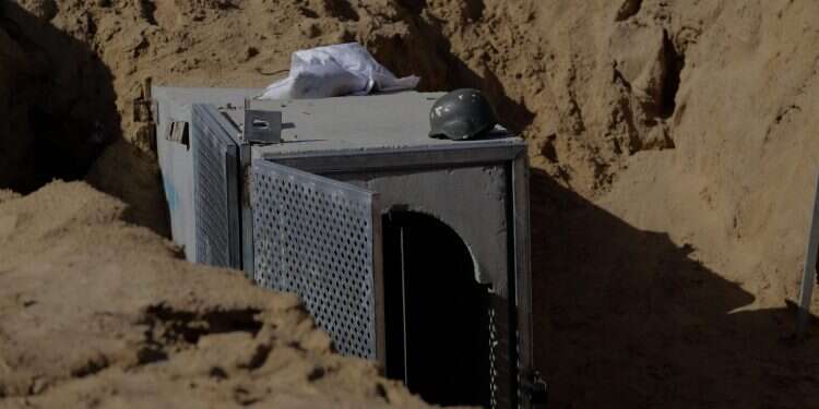 צילום: יהודה פרץ