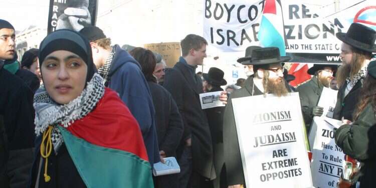 הפגנה של תנועת החרם. צילום: מירי צחי צילום: מירי צחי