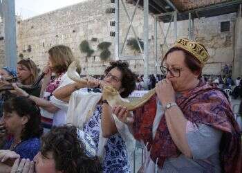 צילום: מירי צחי