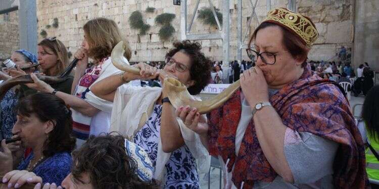 צילום: מירי צחי