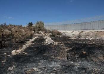 צילום ארכיון: מרים צחי