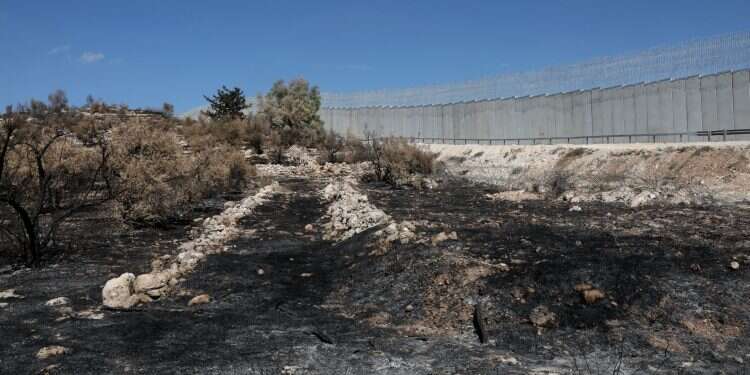 חממה שהוצתה. צילום ארכיון: מרים צחי צילום ארכיון: מרים צחי