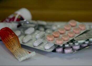 צילום: מרים צחי