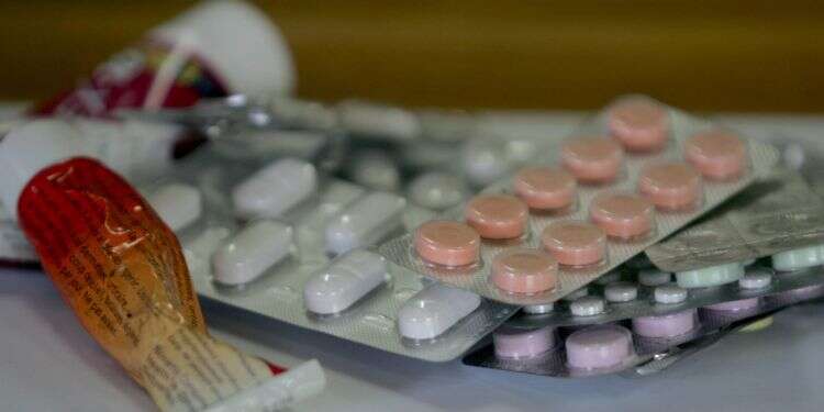 צילום: מרים צחי