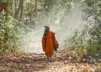 צילום: שאטרסטוק