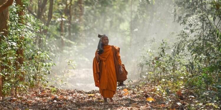צילום: שאטרסטוק