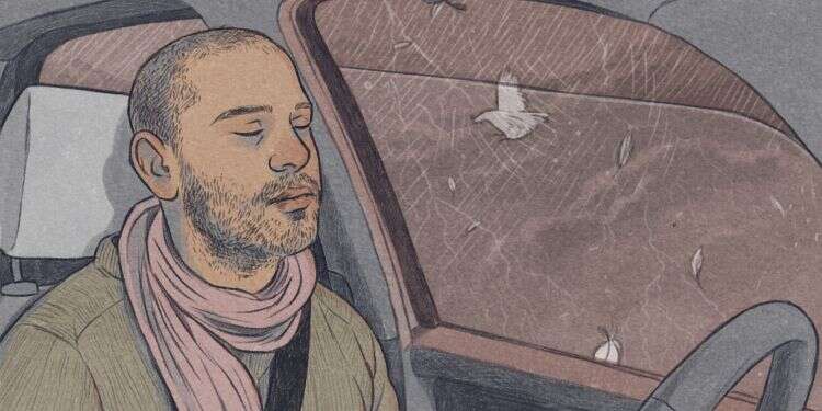 איור: דניאל פלג איור: דניאל פלג