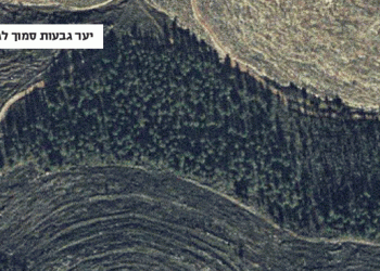 יער גבעות לפני ואחרי. צילום: באדיבות בית הספר כפר עציון