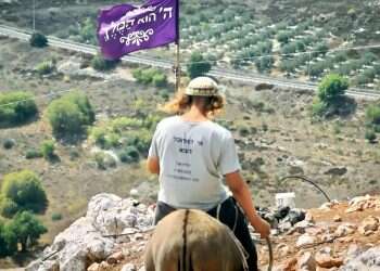 צילום: מתוך "זמן אמת" כאן 11