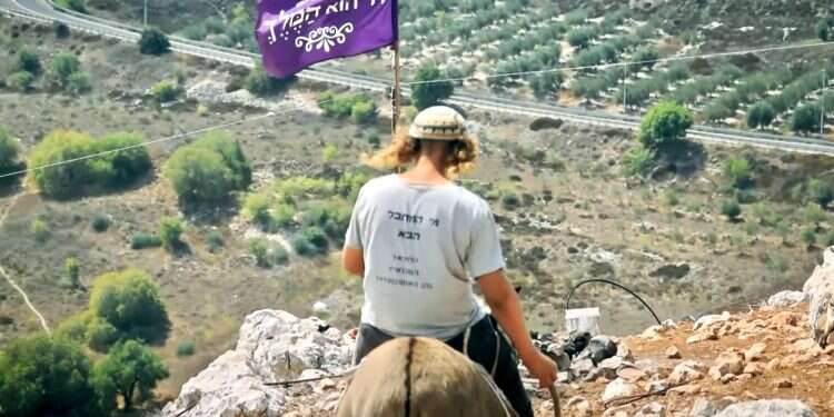 צילום: מתוך "זמן אמת" כאן 11