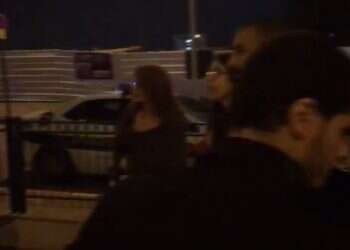 צילום: אריאל שנבל