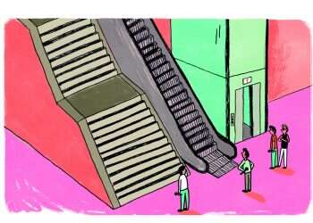 איור: נועה קלנר