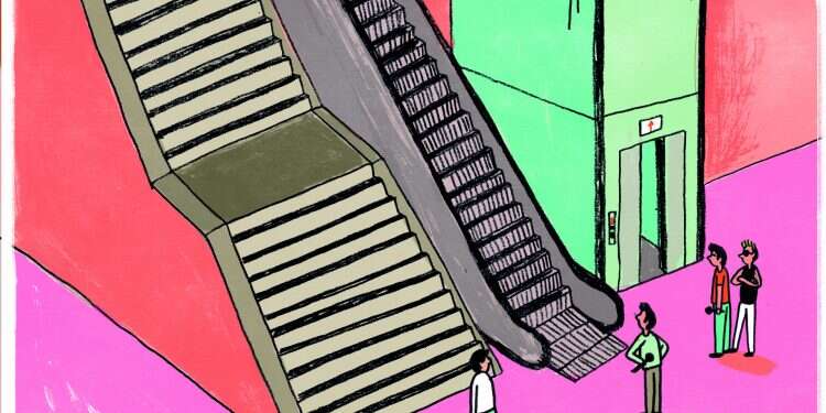 איור: נועה קלנר