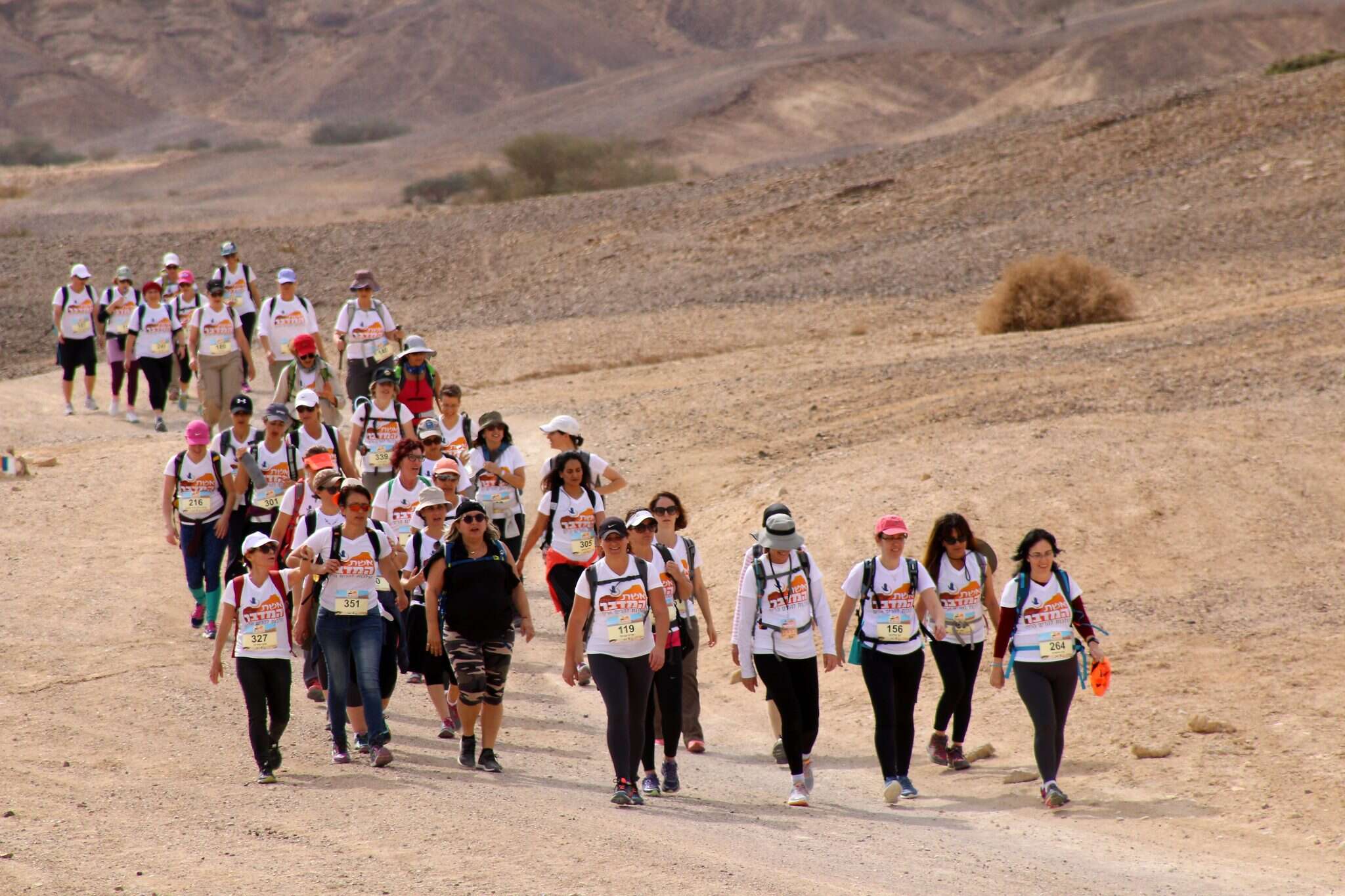 צילום: אירית עמיר