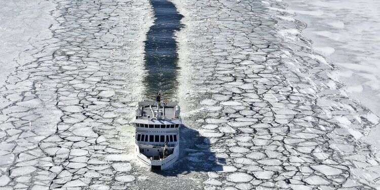 צילום: AFP צילום: AFP