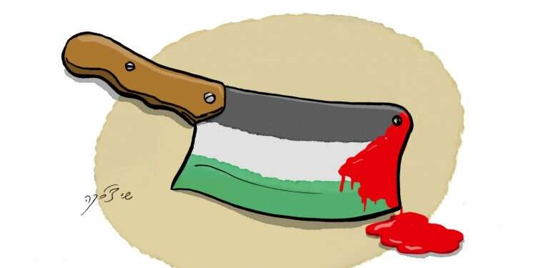 איור: שי צ'רקה איור: שי צ'רקה