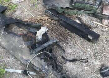 צילום: דו''צ