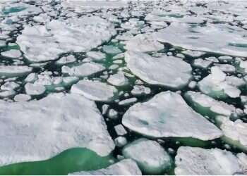 צילום: Alice Li - Washngton Post