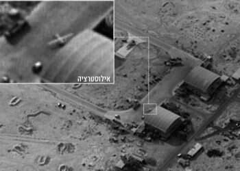 צילום: דו''צ