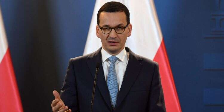 ראש ממשלת פולין מתאוש מורביצקי. צילום: AFP צילום: AFP