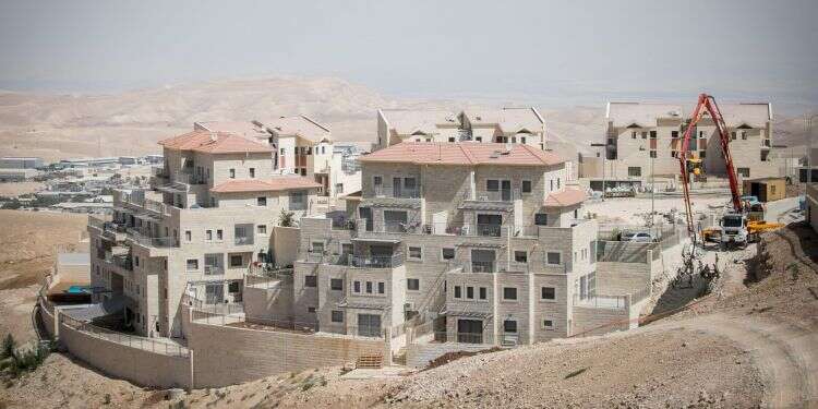 צילום: מרים אלסטר, פלאש 90