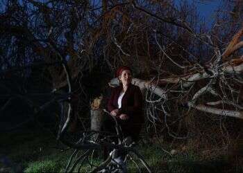 רינה אריאל. צילום: מרים צחי