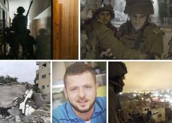 צילום: דו''צ