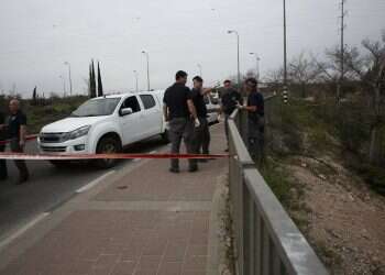 צילום: הלל מאיר/TPS