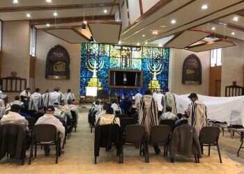 צילום: גלעד כץ