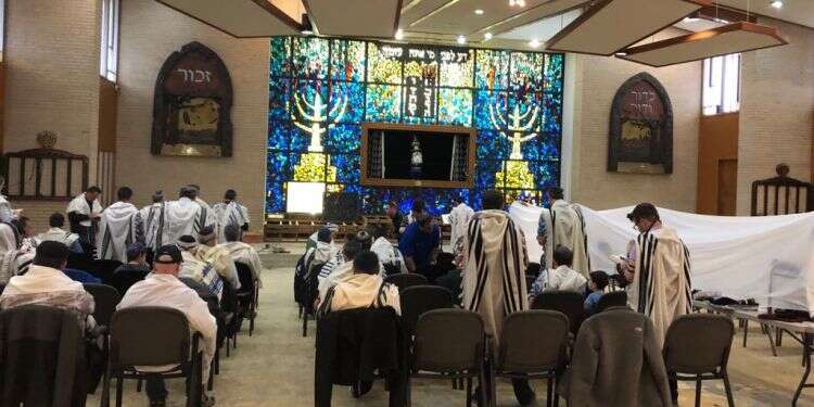 צילום: גלעד כץ