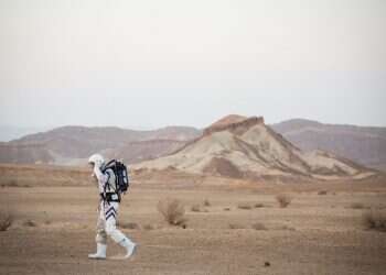 צילום: אבישג שאר-ישוב