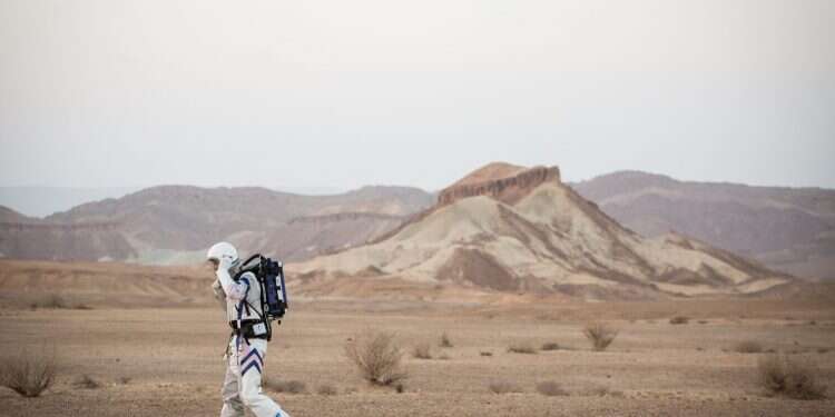 צילום: אבישג שאר-ישוב צילום: אבישג שאר-ישוב